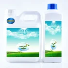 Clear Liquid Epoxy Resin for Pathway/driveways/ Mixing With Pabble/Marble