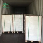 Good quality 215g 250g 300g 70*100cm white Folding box board C1S art board