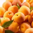 Canned Canned Canned Fruits Canned Fruit Manufacturer Canned Apricot For Sale In China