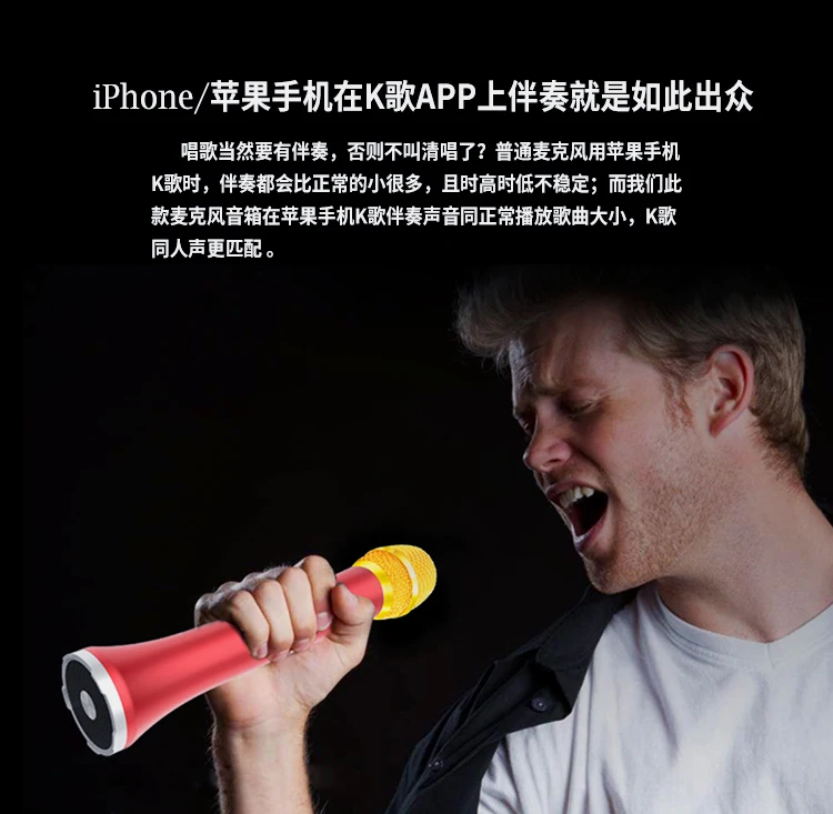 Professional DSP sound chipset ,Karaoke Microphone wireless BT speaker Family KTV L698DSP 20W Loud speaker - ANKUX.COM