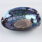 Abalone Shell 10*14cm Natural Polished Abalone Shell And 16*23cm Natural Craft Seashell