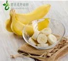 organic dried banana fruit extract powder