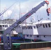 /product-detail/xcmg-marine-ship-deck-hydraulic-jib-crane-60685672034.html