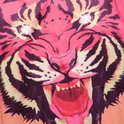 Hoodies Hoodie Hoodies Bulk Hoodies Manufacturers New Fashionable Safety Fitness OEM Design Gym Custom Crop Hoodie Men