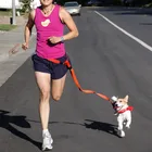 Custom various colors strong adjustable hands free nylon dog walking running lead