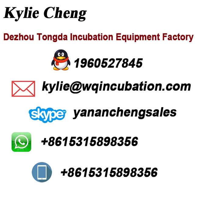 Brand new quail egg peeling machine with CE certificate