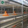 /product-detail/chicken-shed-poultry-cage-broiler-poultry-farm-equipment-automatic-h-type-broiler-cages-60724270879.html