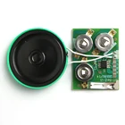 Original factory production vibration sensor mini sound modules for greeting card