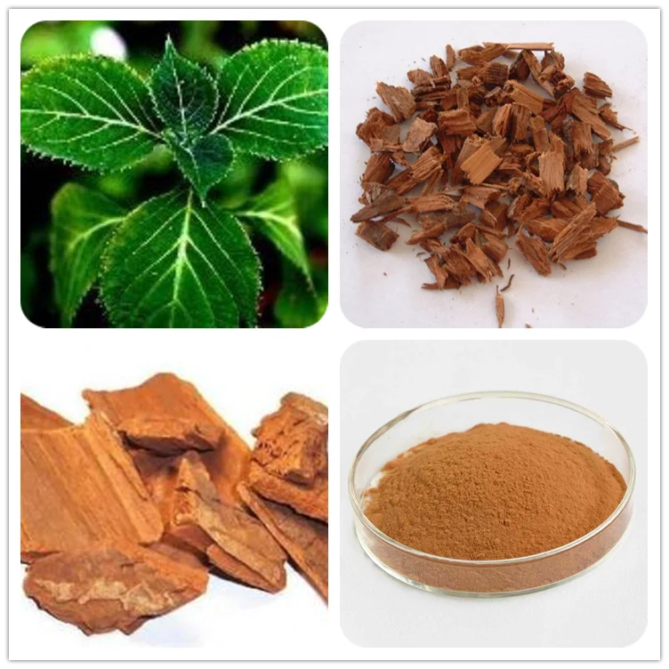 98 Yohimbe Seeds Extract Hcl Hydrochloride Hcl Powder Yohimbine Bark
