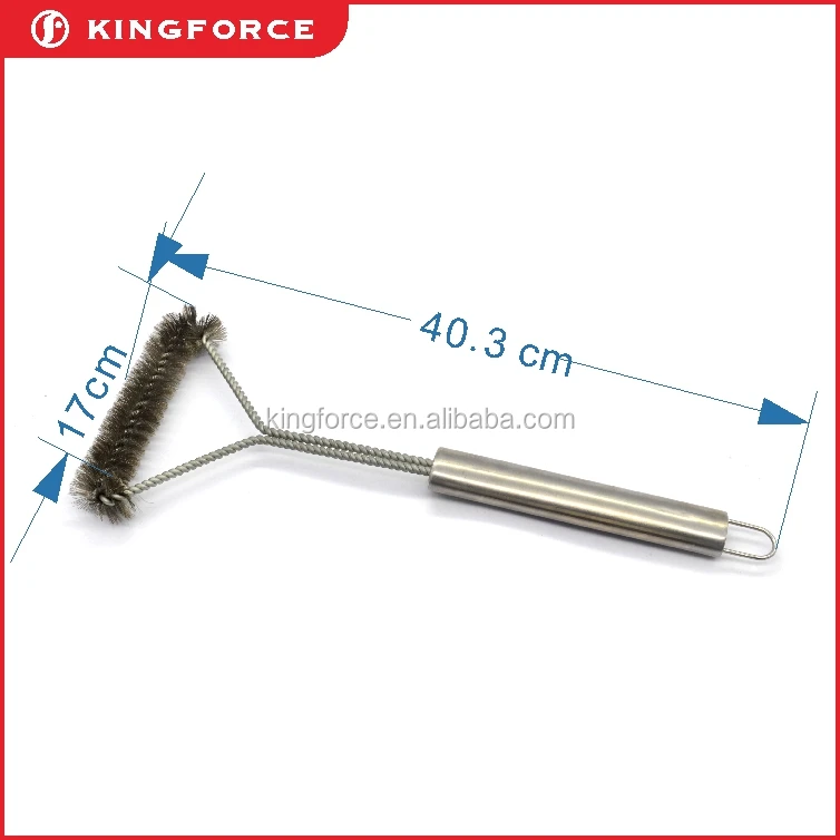 KF410036.jpg
