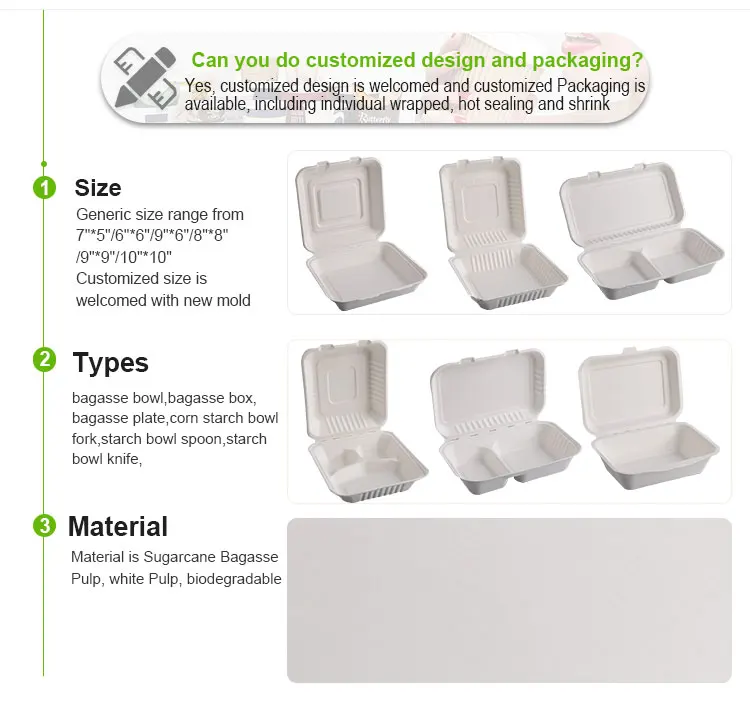 biodegradable lunch boxes
