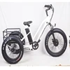 /product-detail/high-quality-e-bike-3-wheel-48v-500w-750w-electric-fat-tire-tricycle-60194608380.html