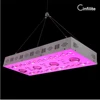 CE Rohs commercial led grow light cob hydroponic full spectrum LED grow lamp