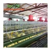 /product-detail/broiler-chicks-rate-poultry-farming-60626067433.html