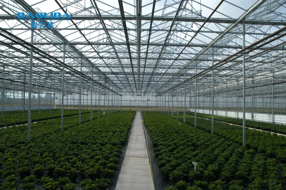 Low Cost Normal Commercial Greenhouse Buy Commercial Greenhouse
