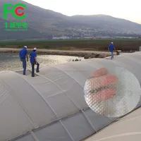 UV Stabilized Agricultural Greenhouse Polyethylene Strong