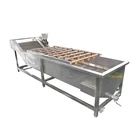 Hot Sale Vegetable Cleaner Bubble Cleaning Machine Plums Washing Machine
