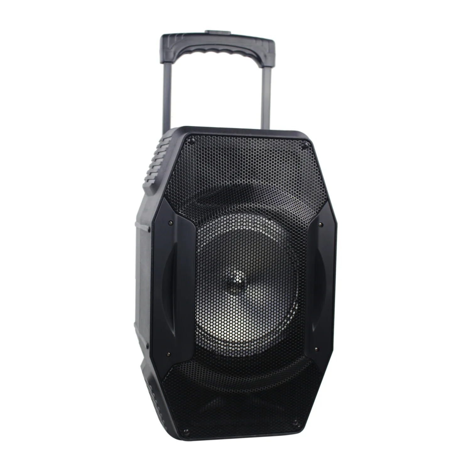 Temeisheng pro audio pa speaker,bass sound system speaker and bt speaker - ANKUX.COM