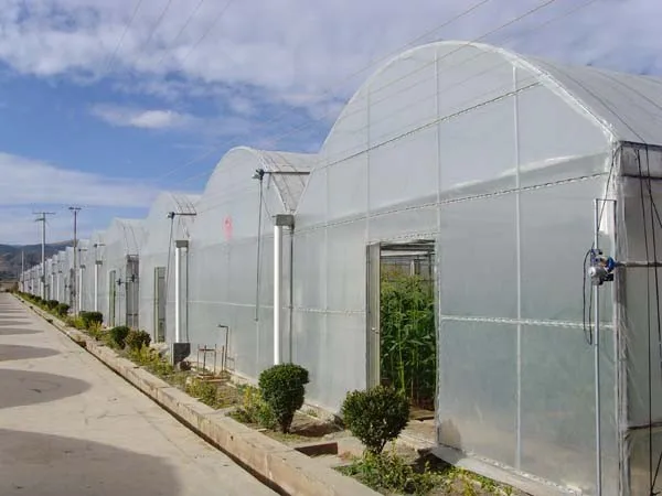 greenhouse film hoops.jpg