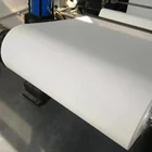 Food Grade PET Laminated White Kraft Paper In Sheet