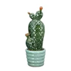 Packaging Customization Artificial Plant Pot Plant Custom Artificial Ceramic Cactus Plant Pots