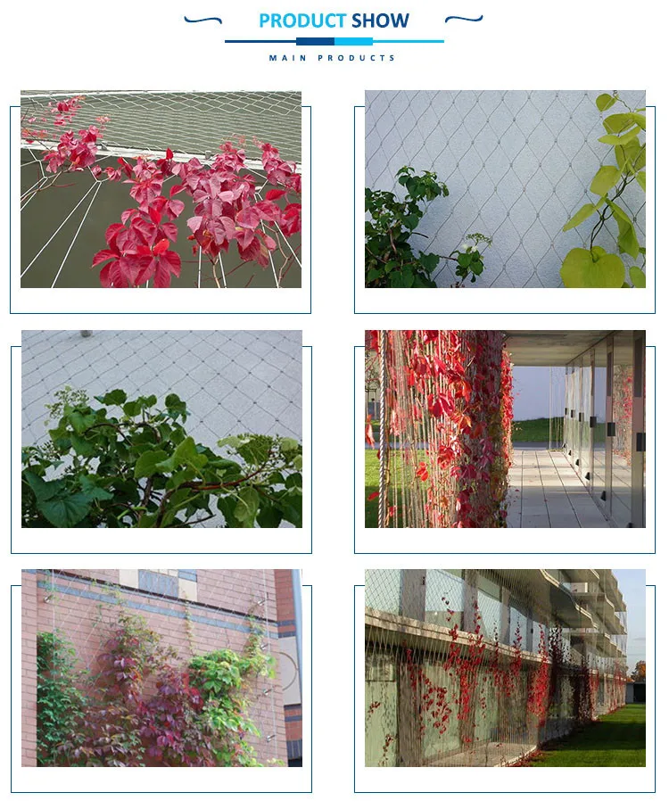 green wall climb mesh stainless steel cable netting wire mesh