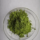 100% Natural pure green barley grass extract powder barley grass juice powder