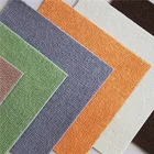China Manufacturer Supply Anti-Slip Eco-friendly Pet Floor Mat