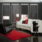 Fashionable designs sheer roller shades zebra blinds