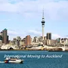 Immigration Logistics for international moving from Shenzhen china to Auckland new zealand by ocean freight