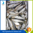 Top Quality Seafood Frozen HALAL Sardine Fish and sardine fish meal