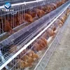 chicken layer cage for sale/wire mesh cage chicken layer/chicken cage plans