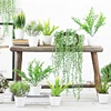 /product-detail/mini-cactus-succulent-desert-plant-indoor-decorative-artificial-succulent-plant-62049444004.html