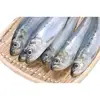 Hot sale whole round fresh frozen sardine fish
