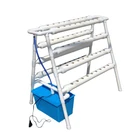 Small home PVC greenhouse hydroponics growing system kits