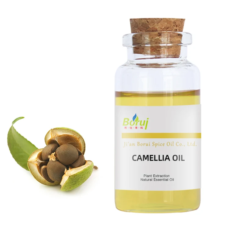 oil cold press original pure natural organic camellia seed oil