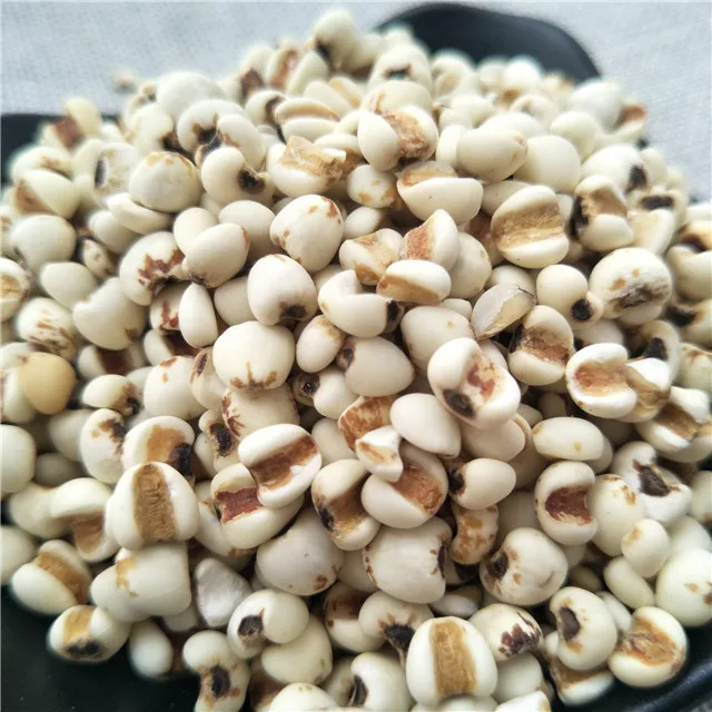 semen coicis seed (5).jpg