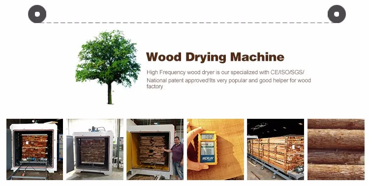 HF Vacuum wood drying kiln (1)