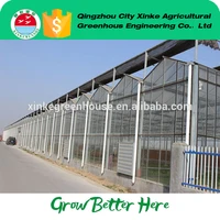 Made In China Multi Span Agriculture