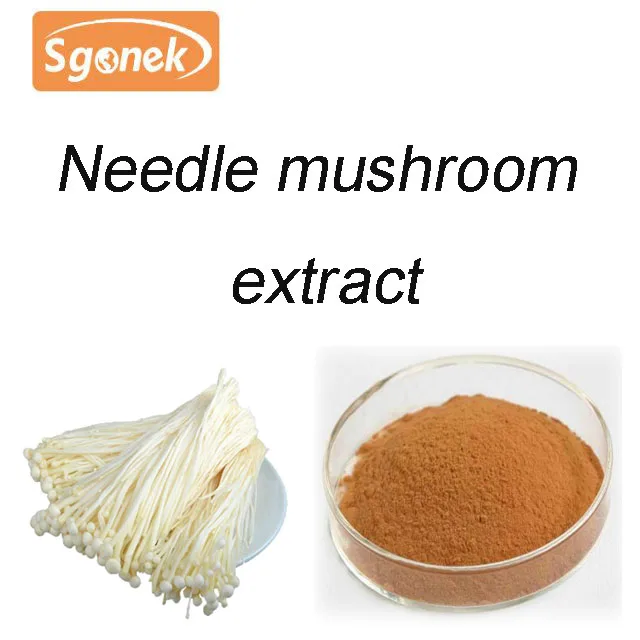 supply needle mushroom extract polysaccharide powder