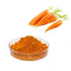Best selling natural dried carrot powder