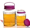 Stocked 2L 3L 4L 5L 8L 10L 12L 16L 20L plum wine glass jar with handle, large glass bottle or glass jar
