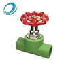 Safety Cheap Water Supply Flow Control PPR Double Ends Gate Valves