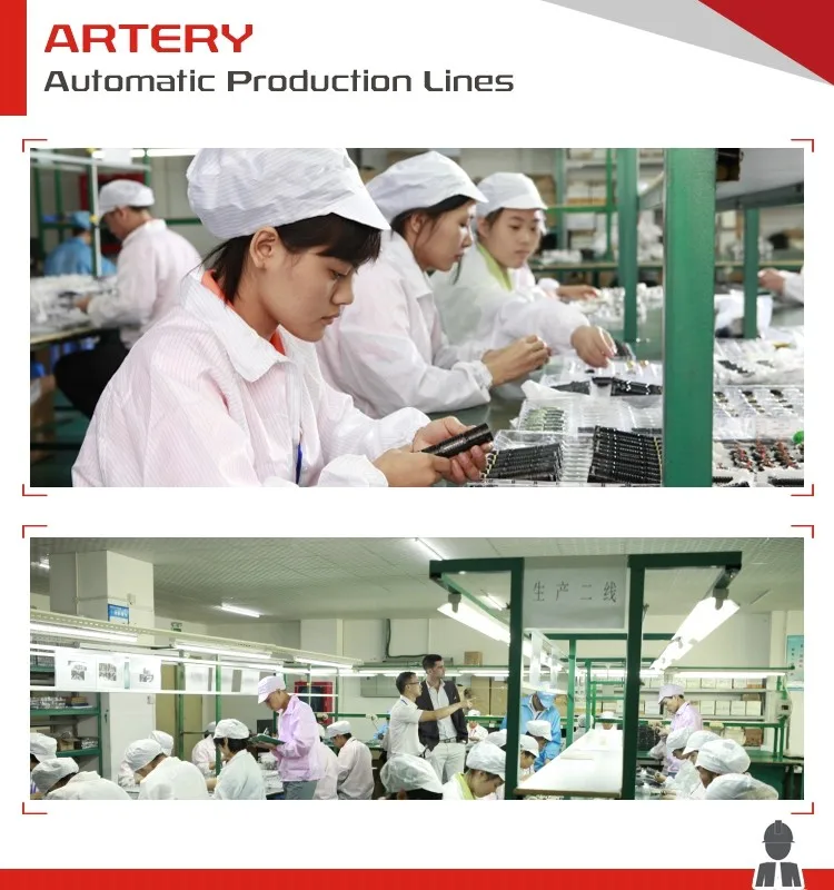 Artery 3