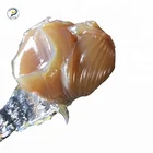Concrete pump lubricant lithium based grease