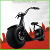 Fashion City Bike 800W Brushless Adult Electric Scooter 2 Wheels Electric Motorcycle Fashion City Bike 800W Brushless Adult Electric Scooter 2 Wheels Electric Motorcycle