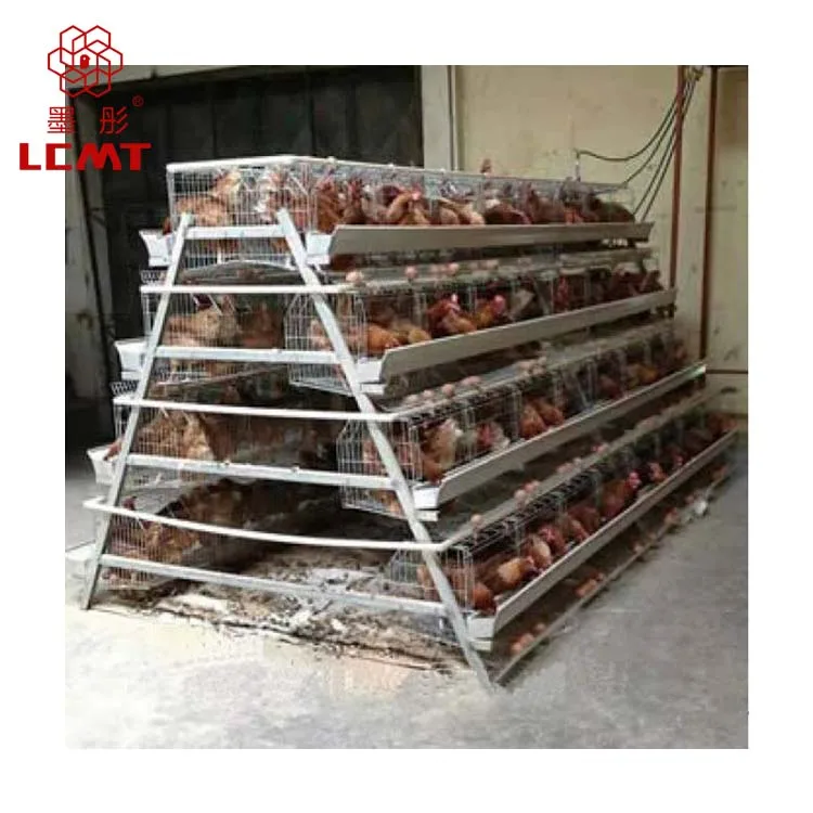 أ-نوع 4 طبقات قفص إعياء بياضة للدجاج تغذية 128 الدجاج زرع