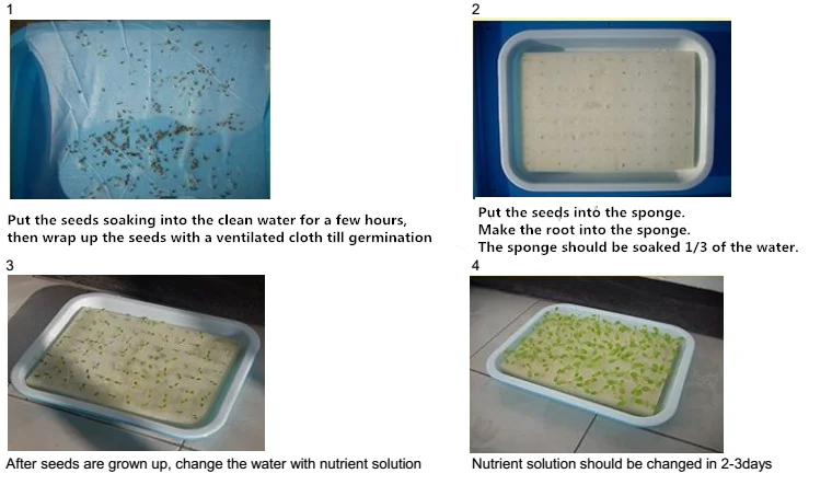 hydroponics_.png