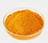 Turmeric Extract Curcumin