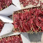 red dried chilli with stems red chili chilli powder chilli crushed in jiaozhou factory